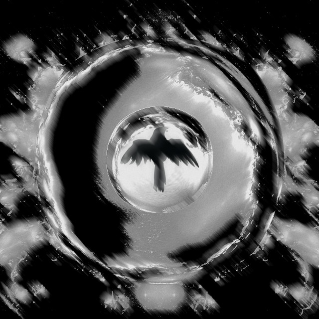 Corvus cover art