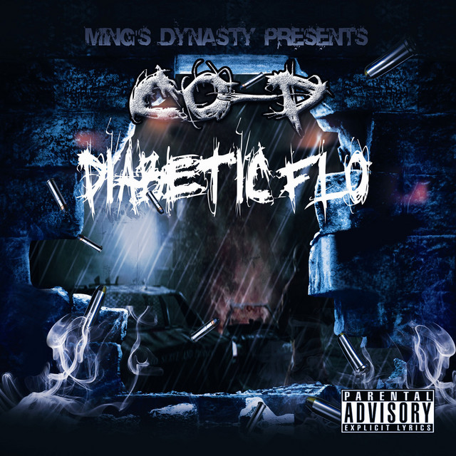 Diabetic Flo cover