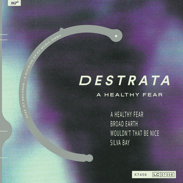 A Healthy Fear album art