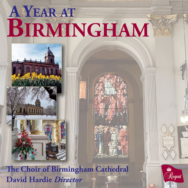 A Year at Birmingham cover