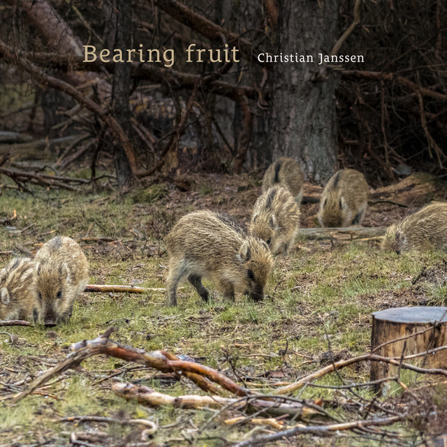 Bearing fruit album image