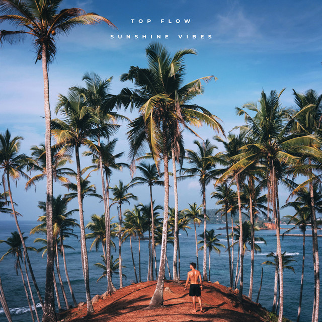 Sunshine Vibes cover art