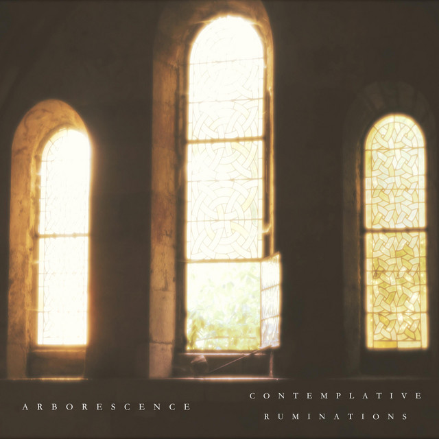 Contemplative Ruminations cover art
