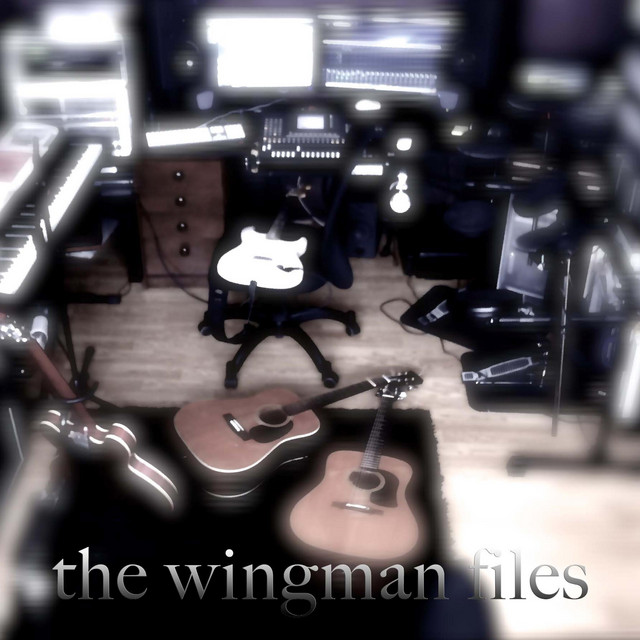The Wingman Files cover art