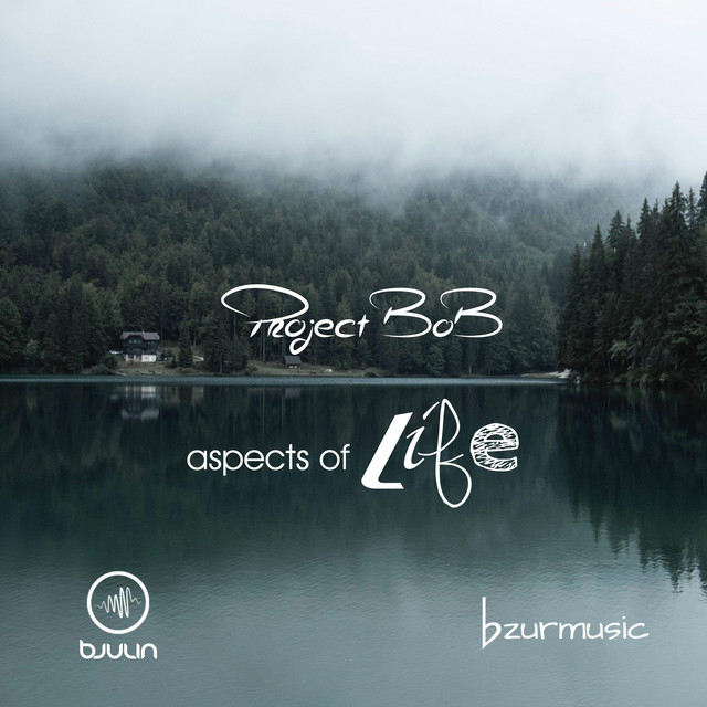 Aspects of Life cover art