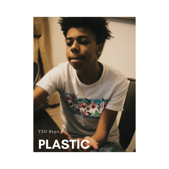 Plastic cover art