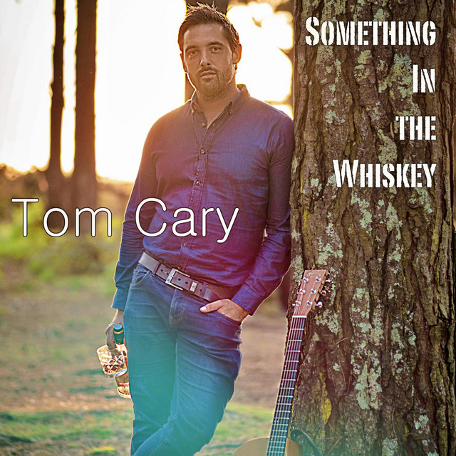 Something In The Whiskey cover