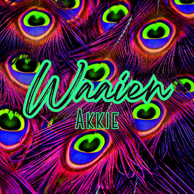 Waaien cover