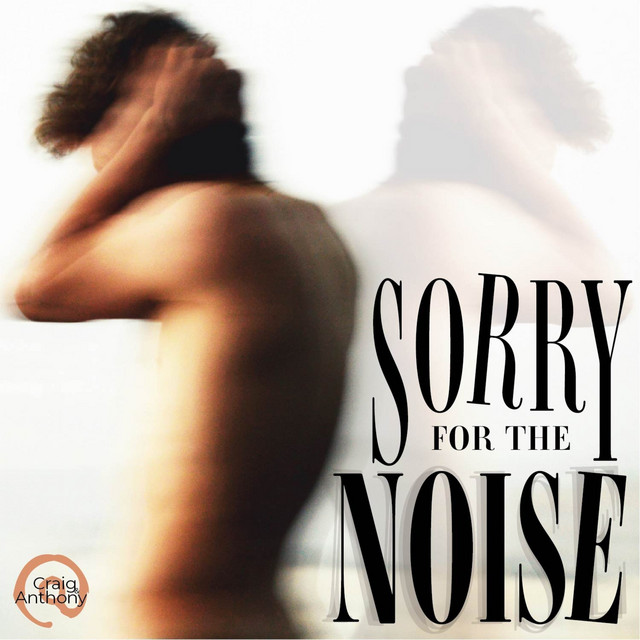 Sorry For The Noise