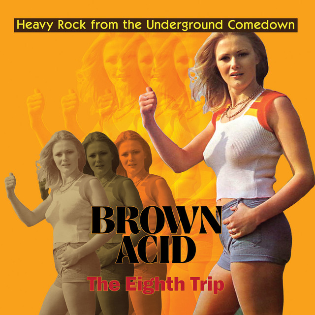 Brown Acid - The Eighth Trip cover art