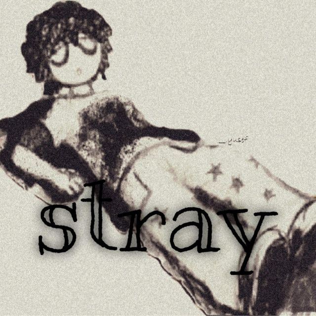 stray cover art