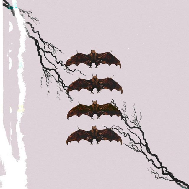 BATS cover art