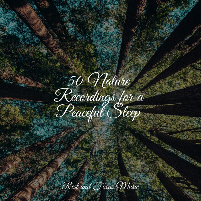 50 Nature Recordings for a Peaceful Sleep - Album by Entspannungsmusik ...