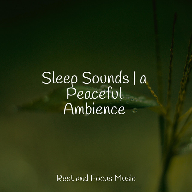 Sleep Sounds | a Peaceful Ambience - Album by Reiki Tribe | Spotify