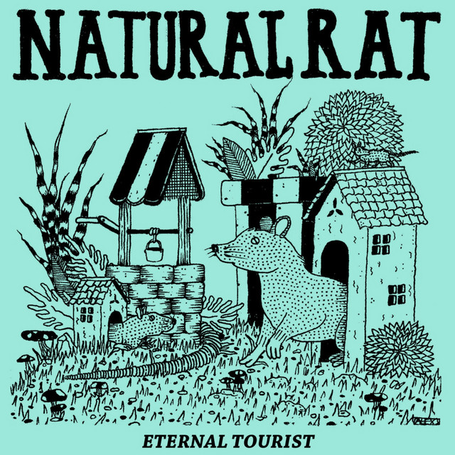 Eternal Tourist cover
