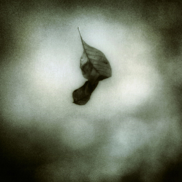 Opiate Sun (Remaster+ 2026) by Jesu