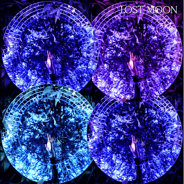 Multiverse cover art