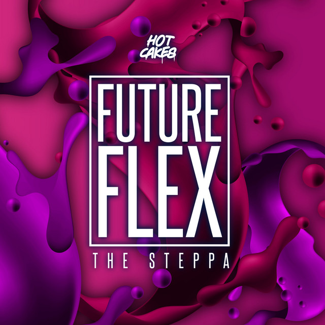 The Steppa album art