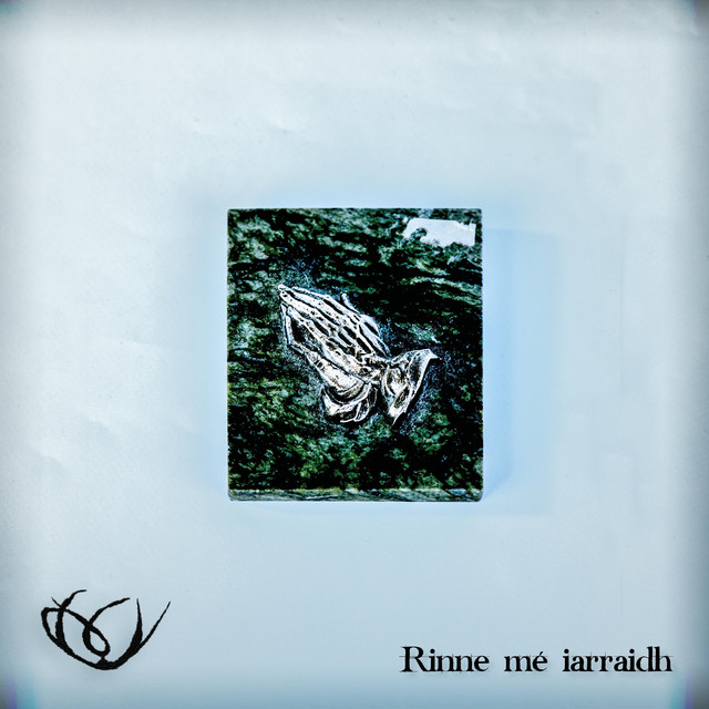 Rinne mé iarraidh (single)
