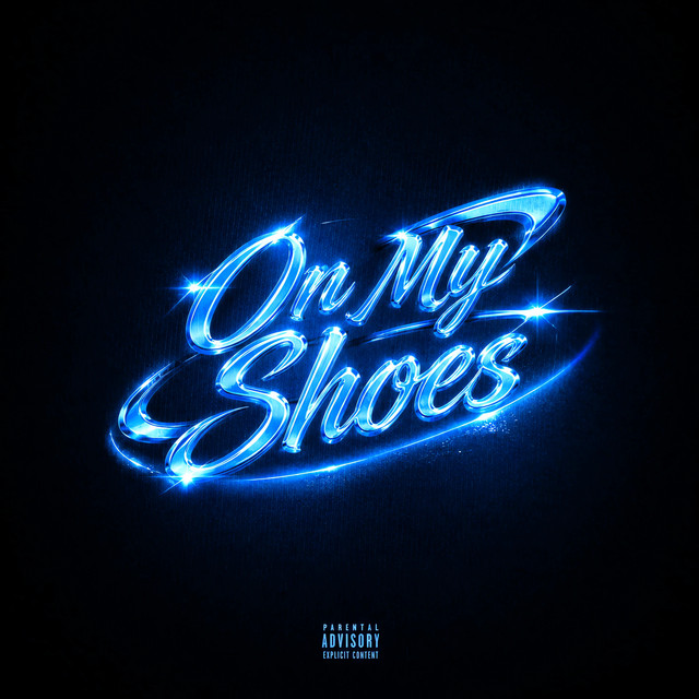 On my Shoes cover