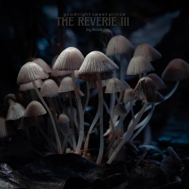 The Reverie III (single)