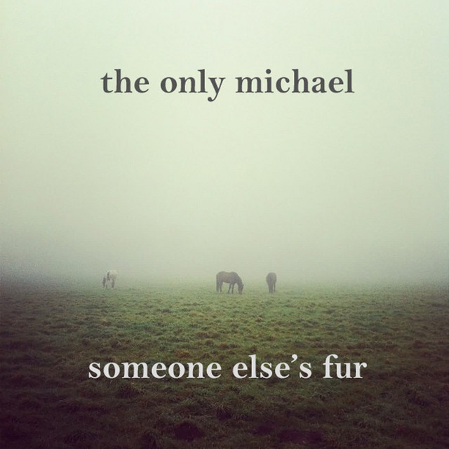 Someone Else's Fur cover