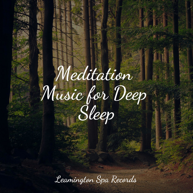 Meditation Music for Deep Sleep - Album by Natural Nature Makers | Spotify