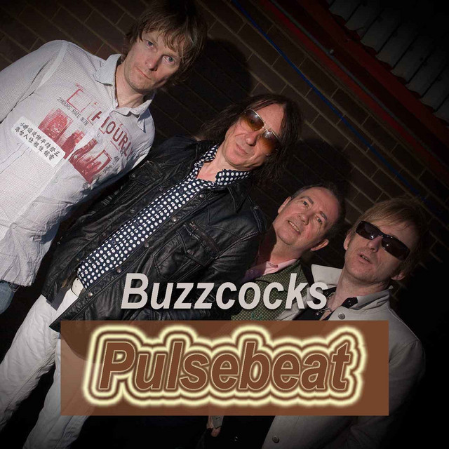 Pulsebeat cover art