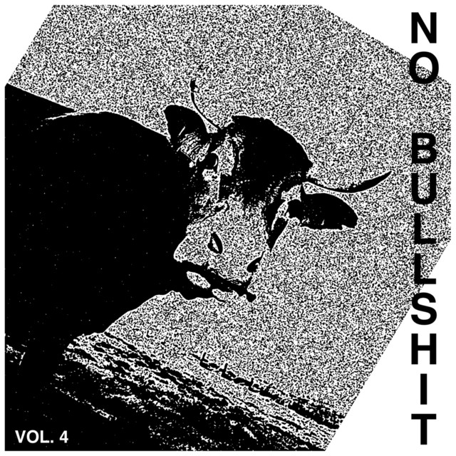 No Bullshit Vol. 4 cover