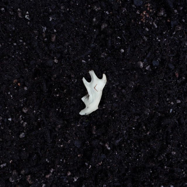 empty cover art