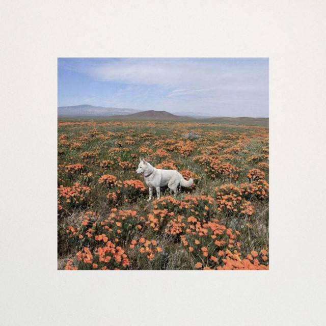 Kingdom Of Coldness cover art