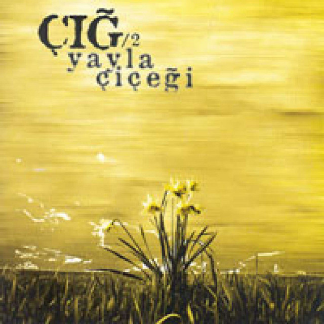 Yayla Çiçeği cover art