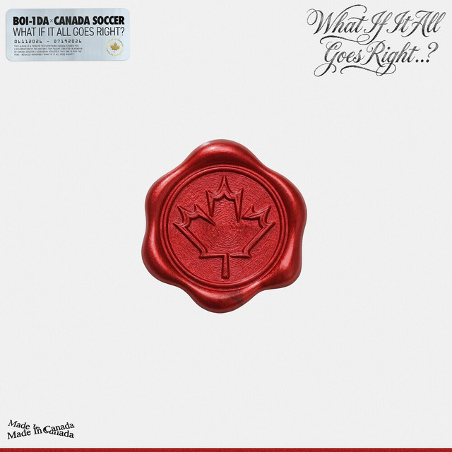 WHAT IF IT ALL GOES RIGHT? cover art