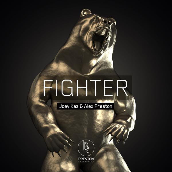 Fighter - The Remixes cover art