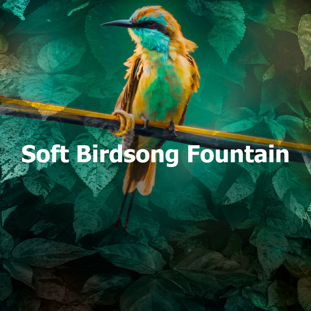 Soft Birdsong Fountain cover art