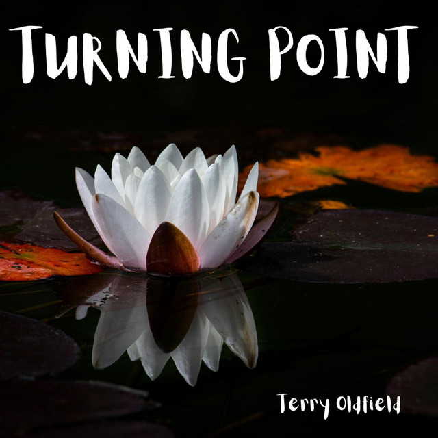 Turning Point cover art