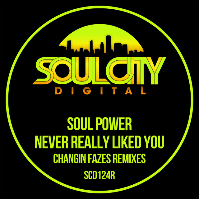 Never Really Liked You - Changin Fazes UK Garage Remix album art