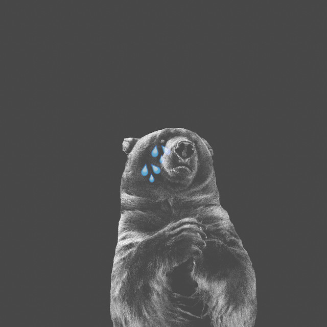 Sir Cries a Lot cover art