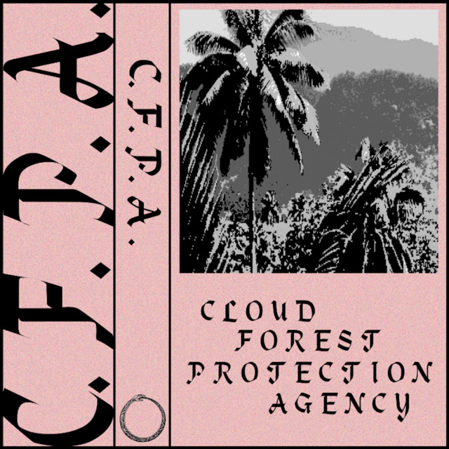C.F.P.A. cover art