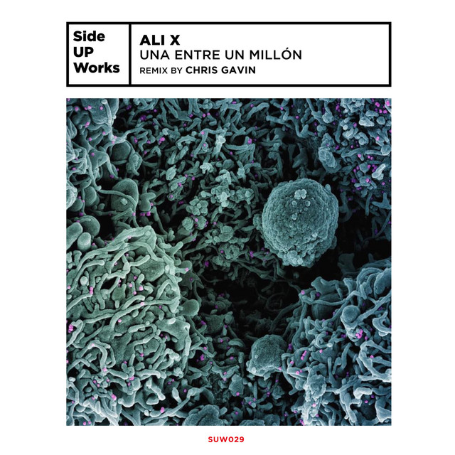 Una Entre Un Millón album art