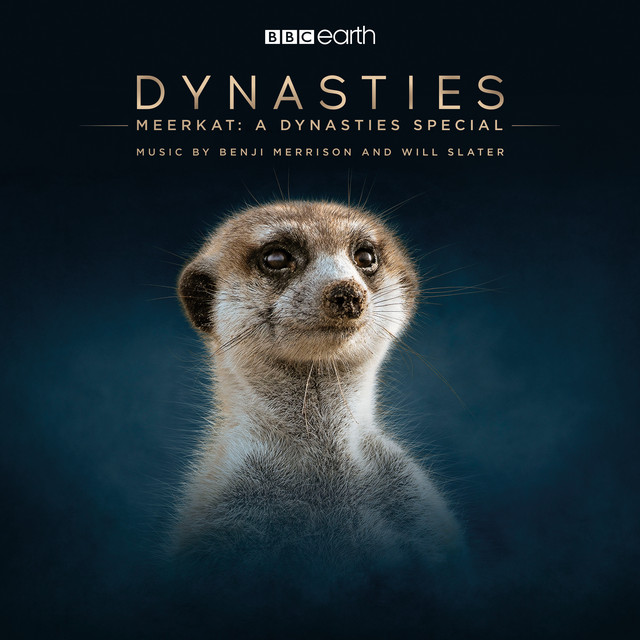 Meerkat: A Dynasties Special (Original Television Soundtrack) cover art
