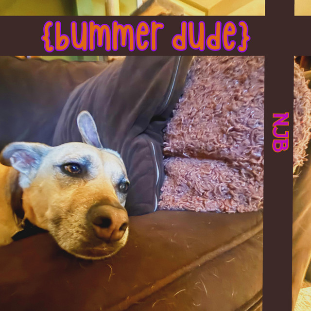 Bummer Dude cover art