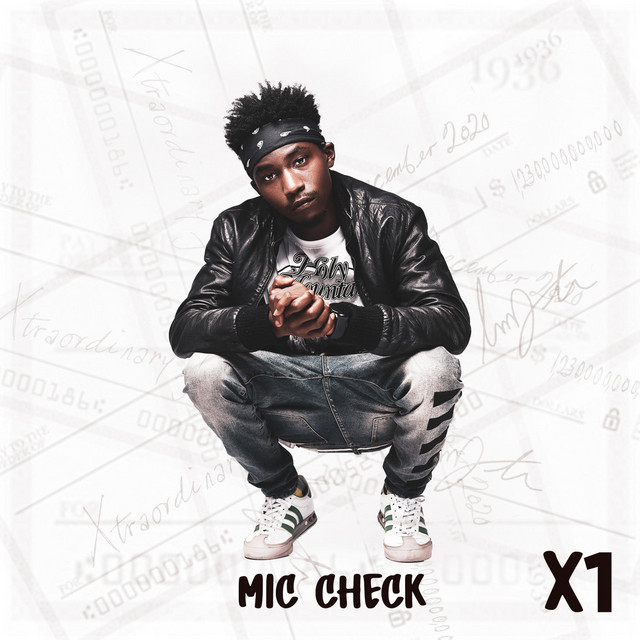MIC Check cover art
