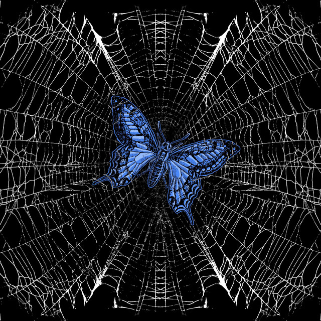 Butterfly Effect cover art