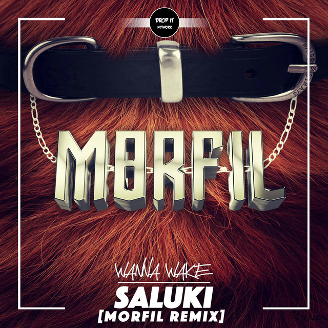 Обкладинка: Saluki (Morfil Remix) — Wanna Wake