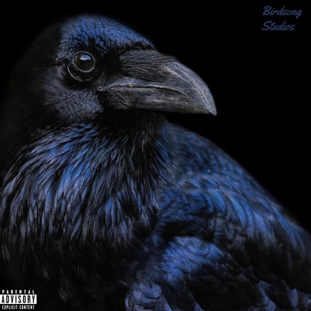 Killer Crows Can’t Cry