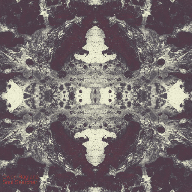 Soul Searcher cover art
