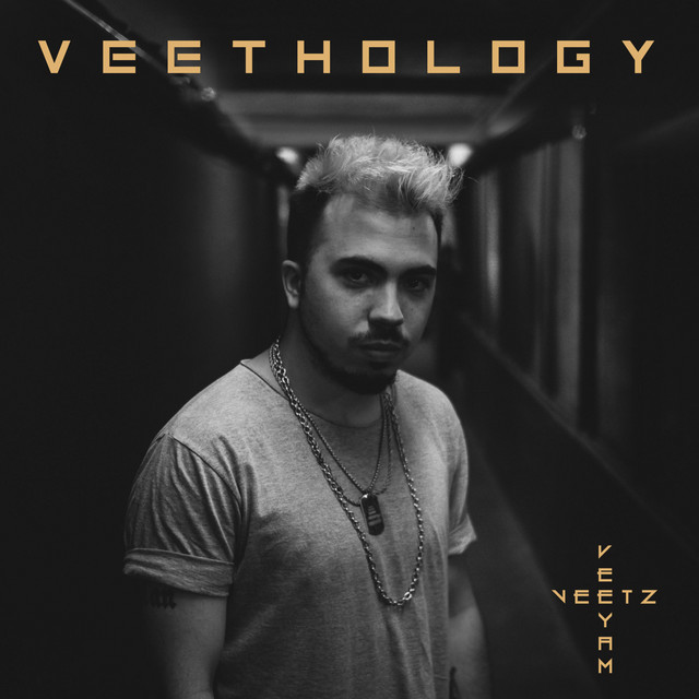 Veethology cover art