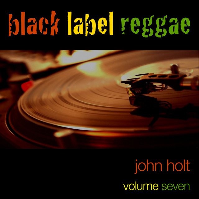 Riding For A Fall - song and lyrics by John Holt | Spotify