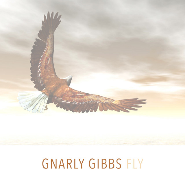 Fly cover art